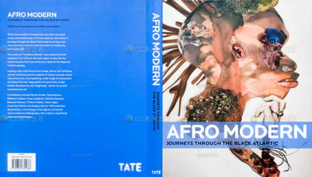《Afro Modern》书籍封面贴图