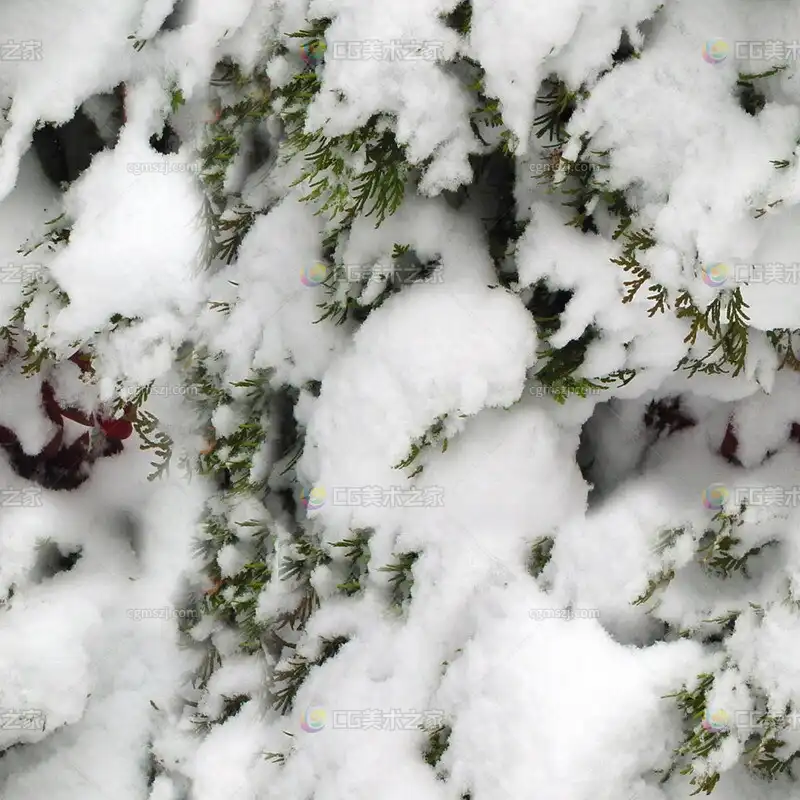 雪覆树木贴图