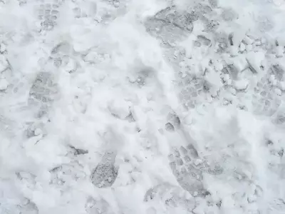 雪地脚印纹理贴图