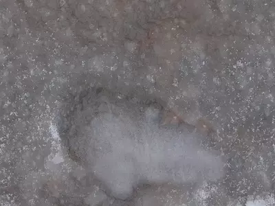 冰雪融化纹理贴图