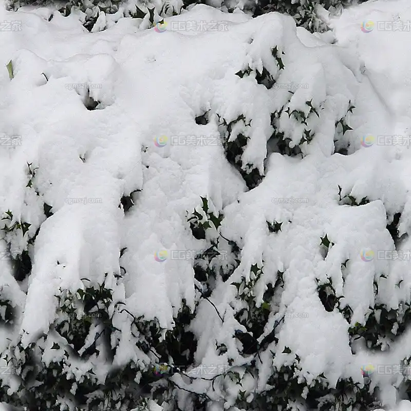雪覆植被贴图