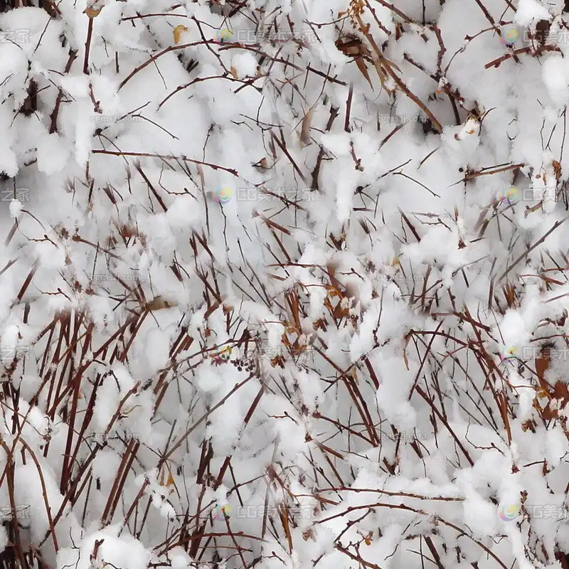 雪地枯枝贴图
