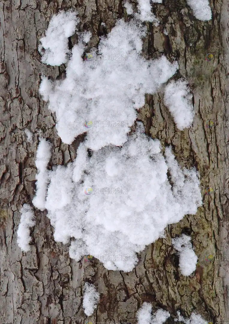 树皮覆盖雪纹理贴图