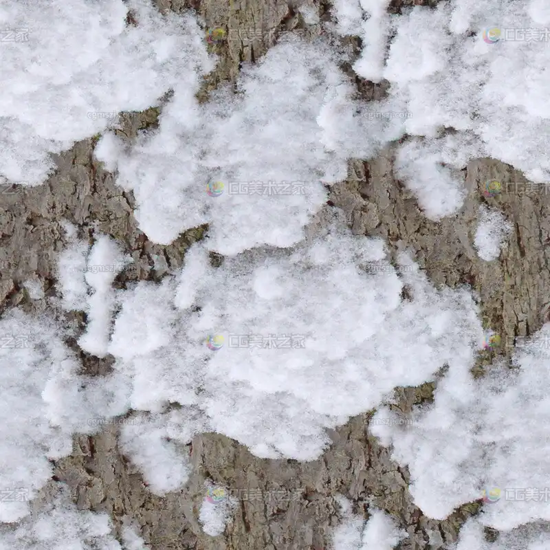 雪覆盖树皮贴图