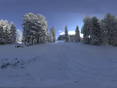 雪景松林风景贴图