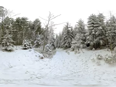 雪景松林风景贴图HDR