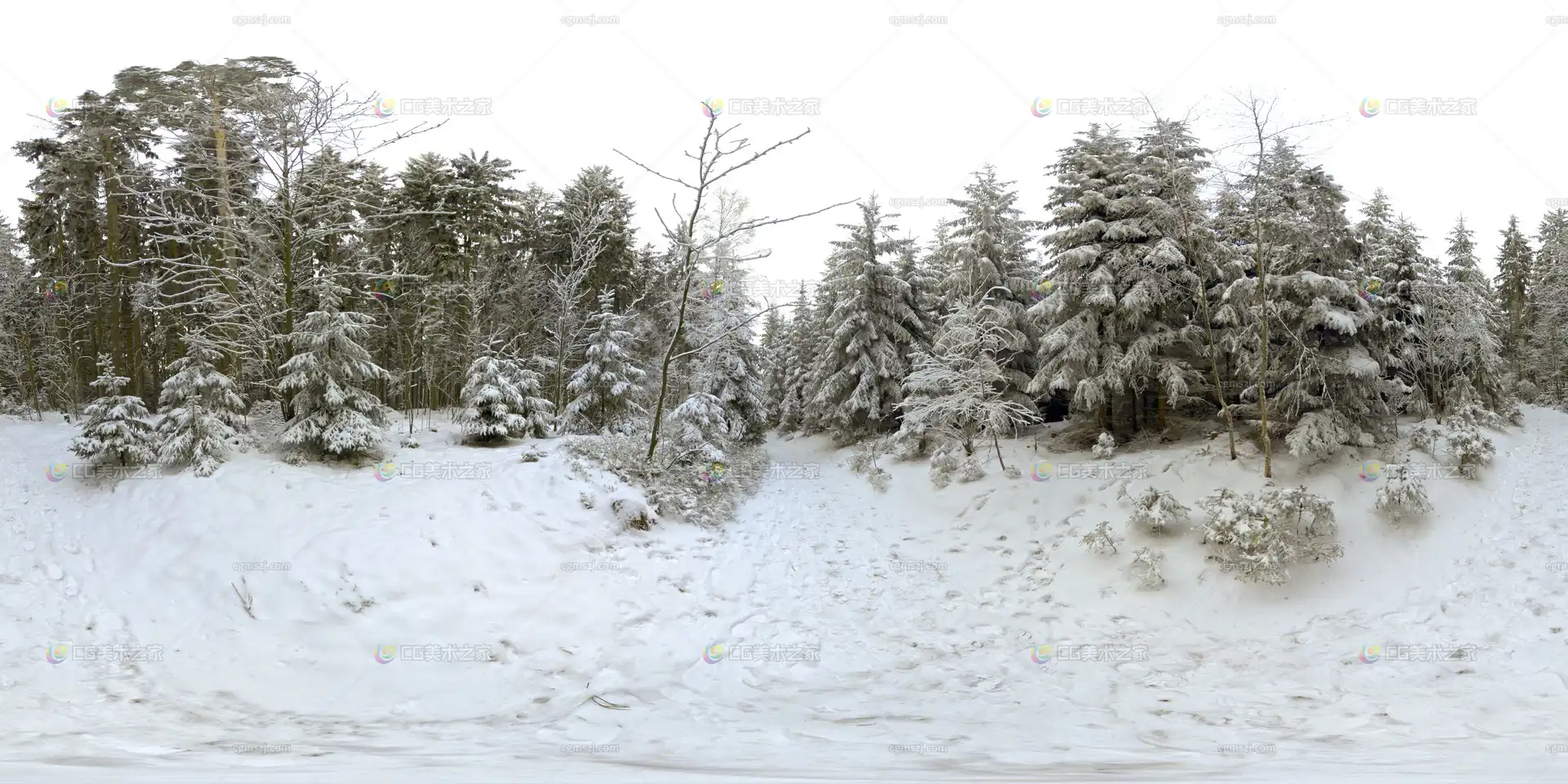 雪景松林风景贴图HDR