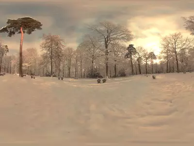 暖色调冬日雪景森林风景贴图