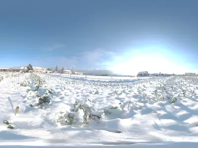 冬日乡村雪景贴图