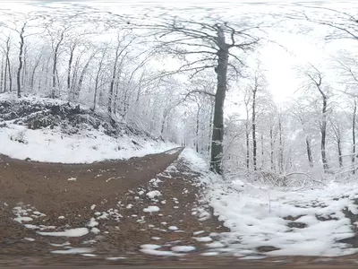 冬日雪景山林小径贴图