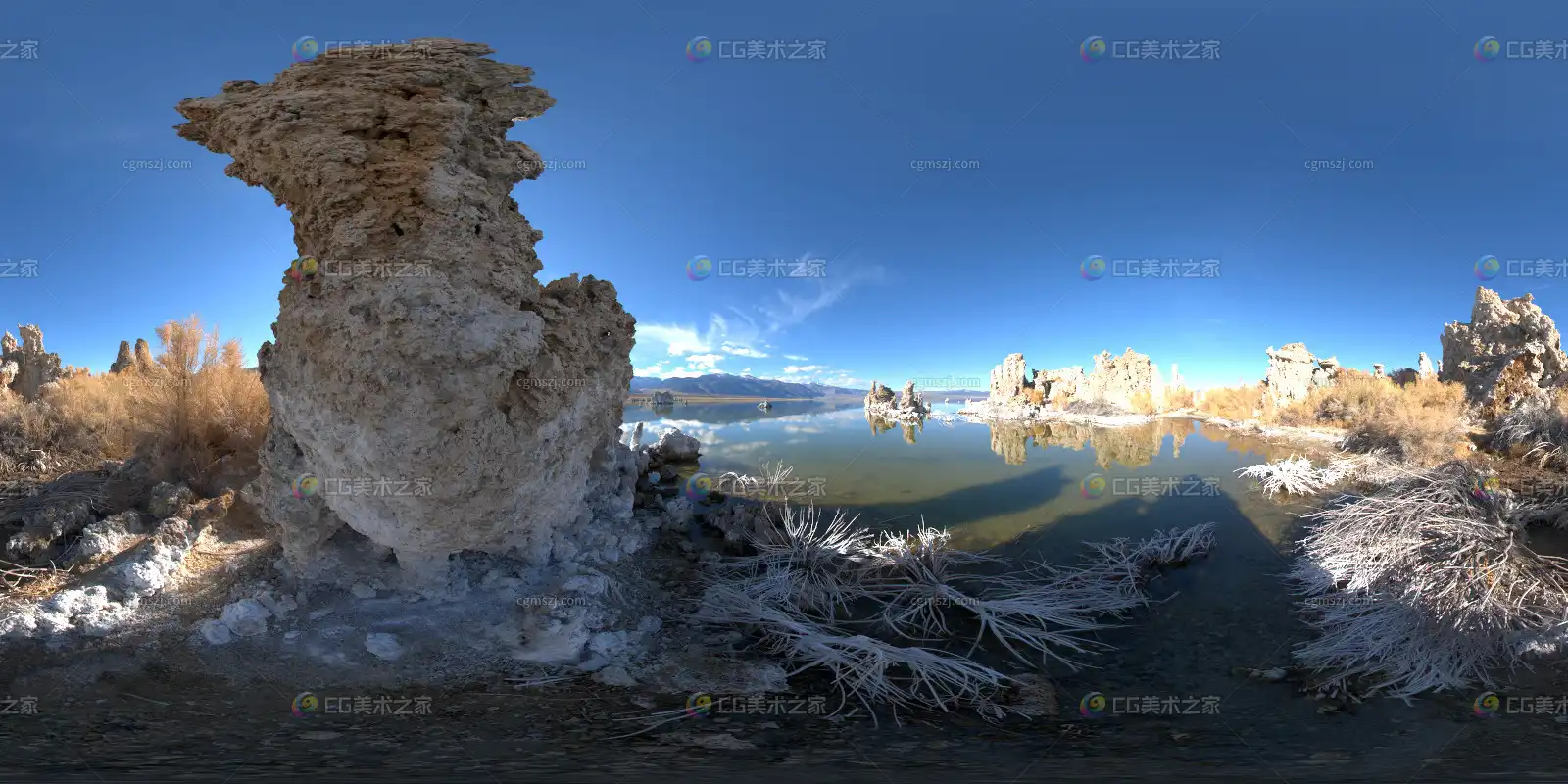 湖泊钙化岩柱贴图