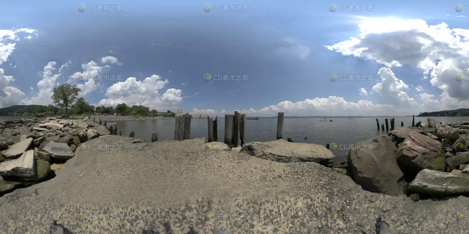 水岸残桩景观贴图