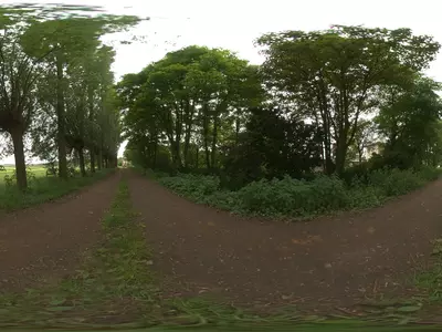 林间土路景观贴图