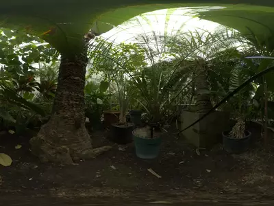热带植物温室景观贴图