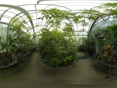 绿植温室景观贴图