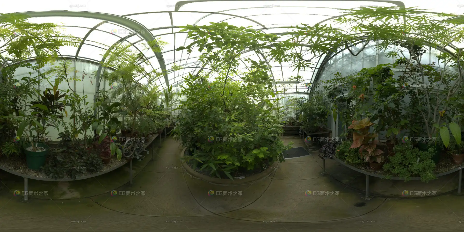 绿植温室景观贴图