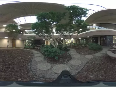 室内中庭景观贴图