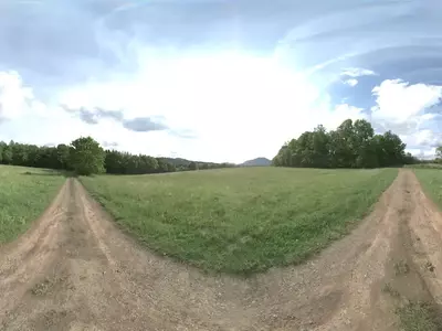 草原土路景观贴图