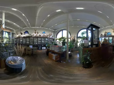 复古自然博物馆全景贴图