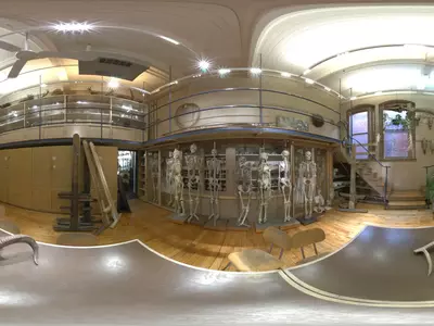 复古解刨学博物馆全景贴图