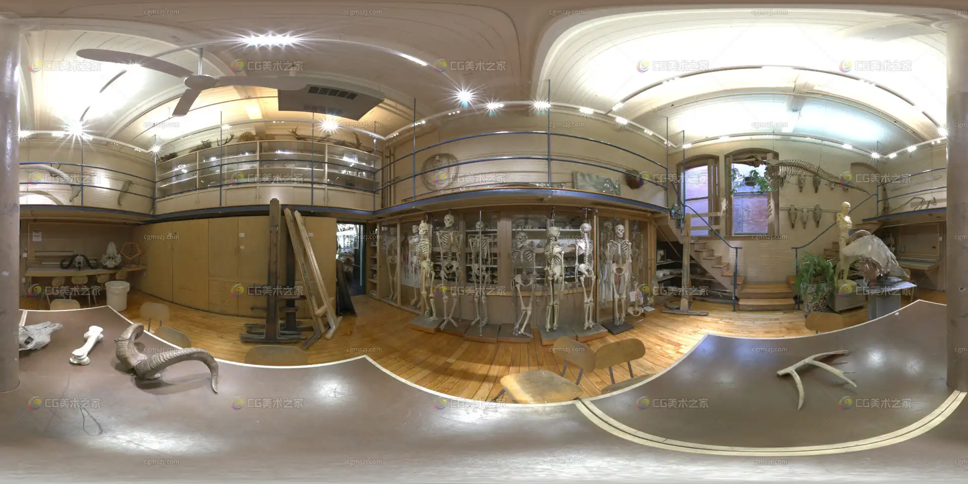 复古解刨学博物馆全景贴图