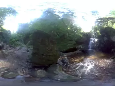 荒郊树林溪流贴图