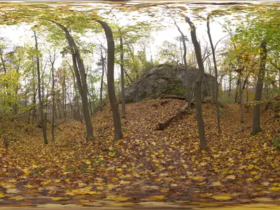 秋日森林岩石贴图