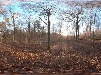 秋日荒郊森林黄昏贴图