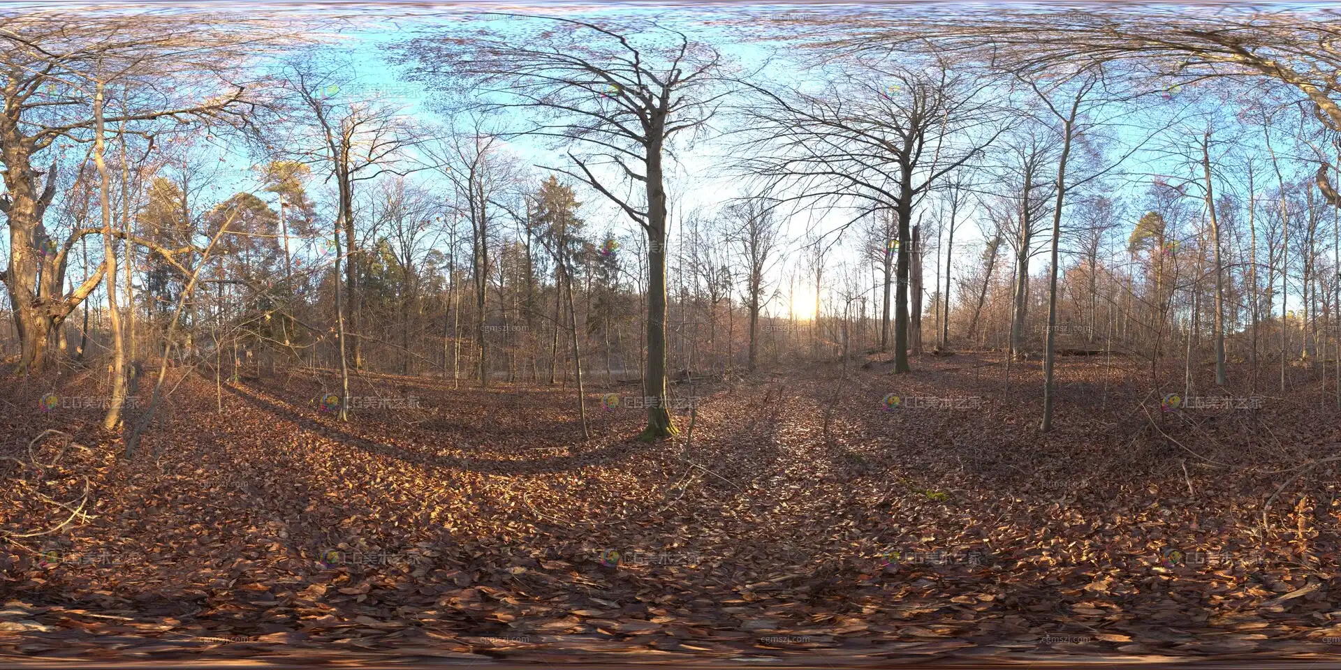 秋日荒郊森林黄昏贴图