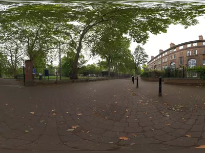 荒郊树林公园贴图