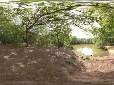 森林湖畔景观贴图