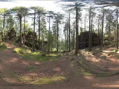 森林岩石小径贴图