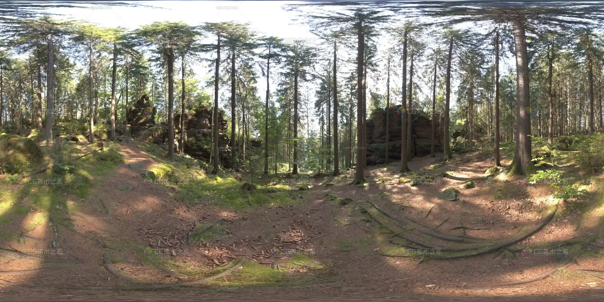 森林岩石小径贴图