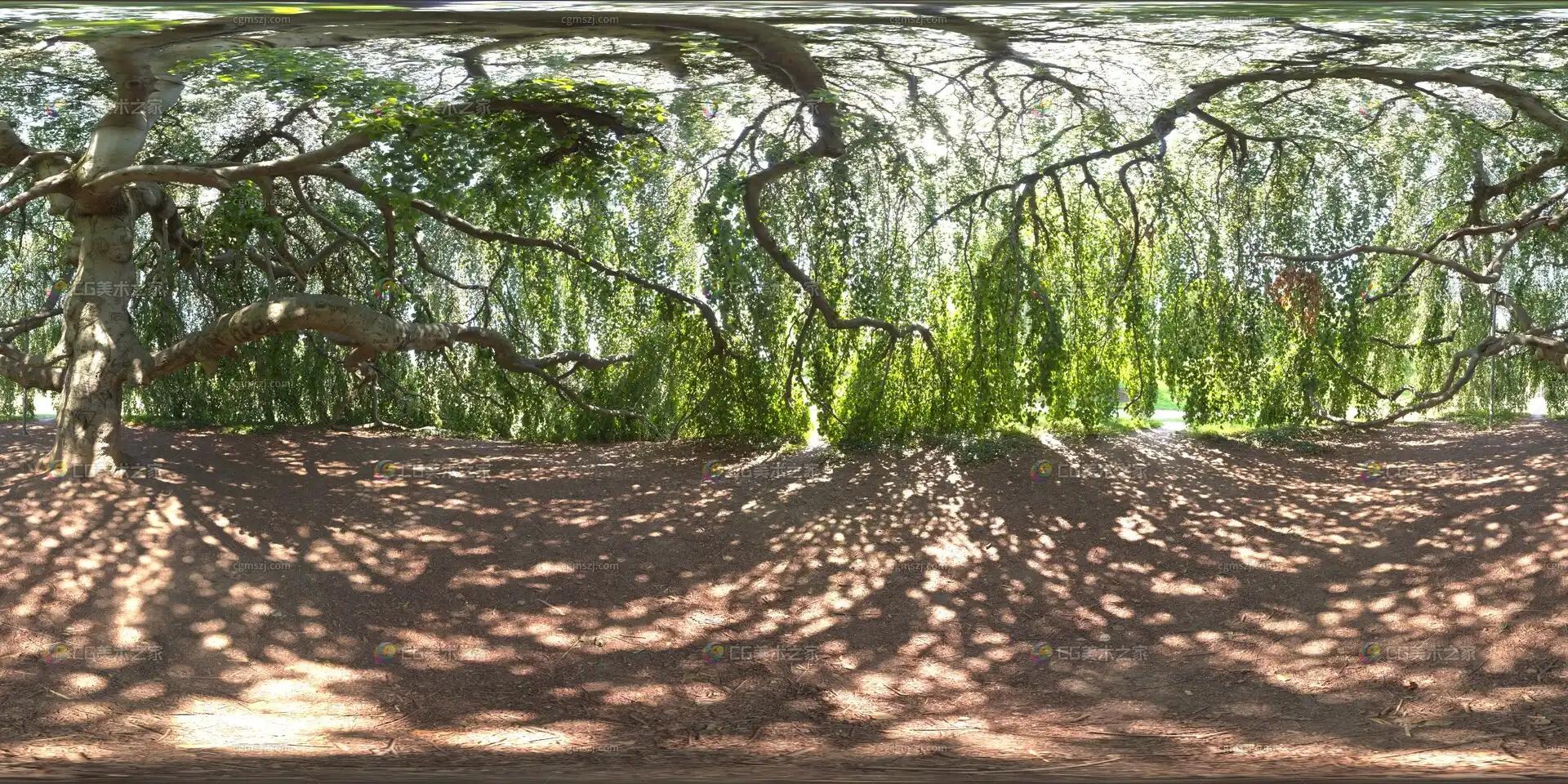 林间光影小径贴图