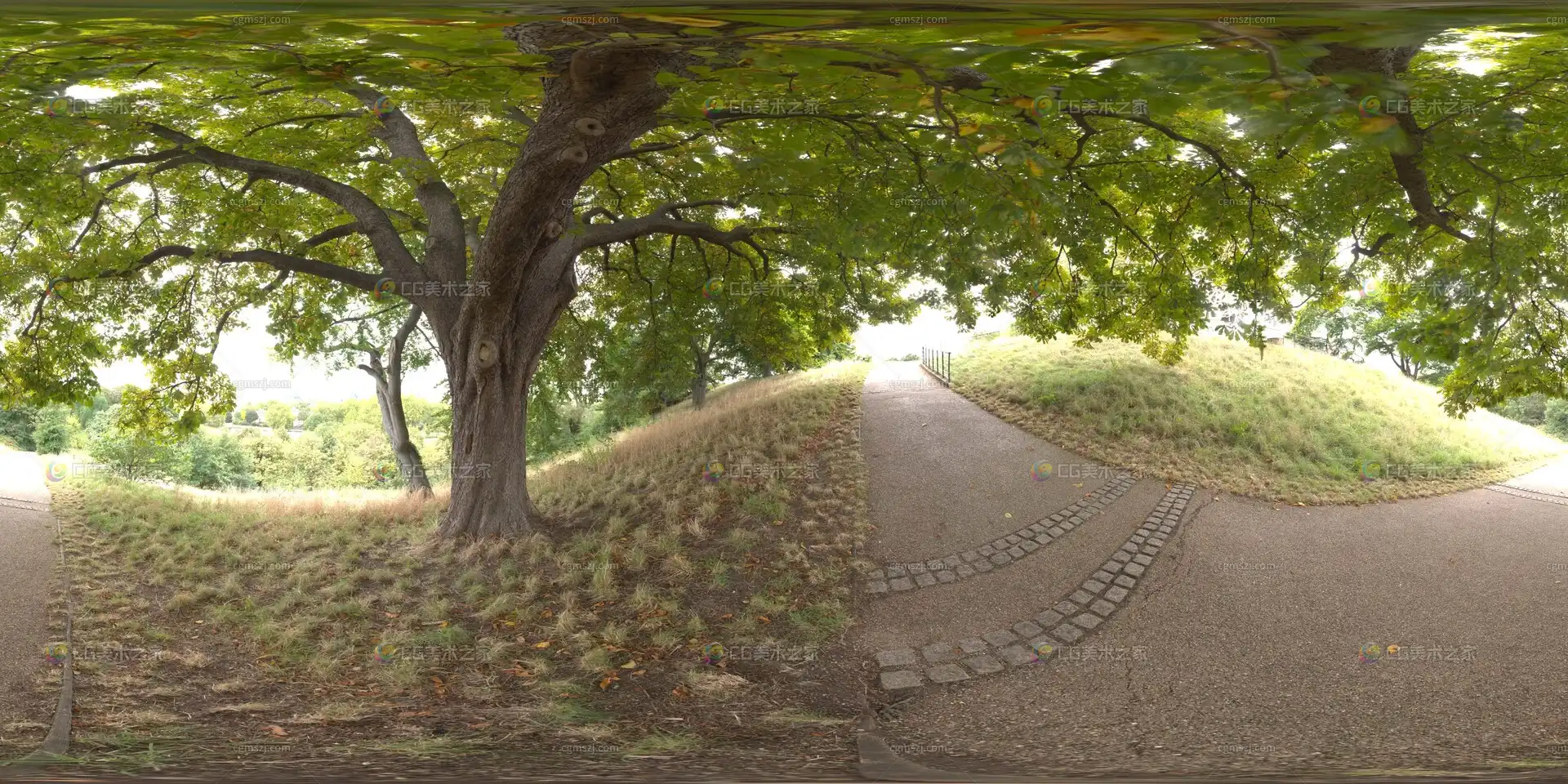 公园大树小径贴图