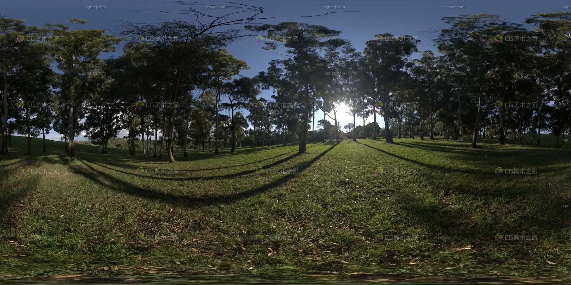 公园草地树影贴图