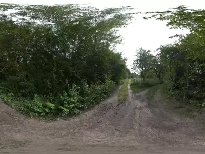 林间岔路景观贴图