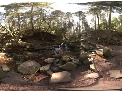 森林岩石景观贴图