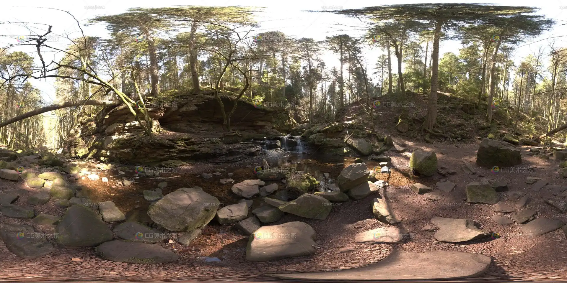 森林岩石景观贴图