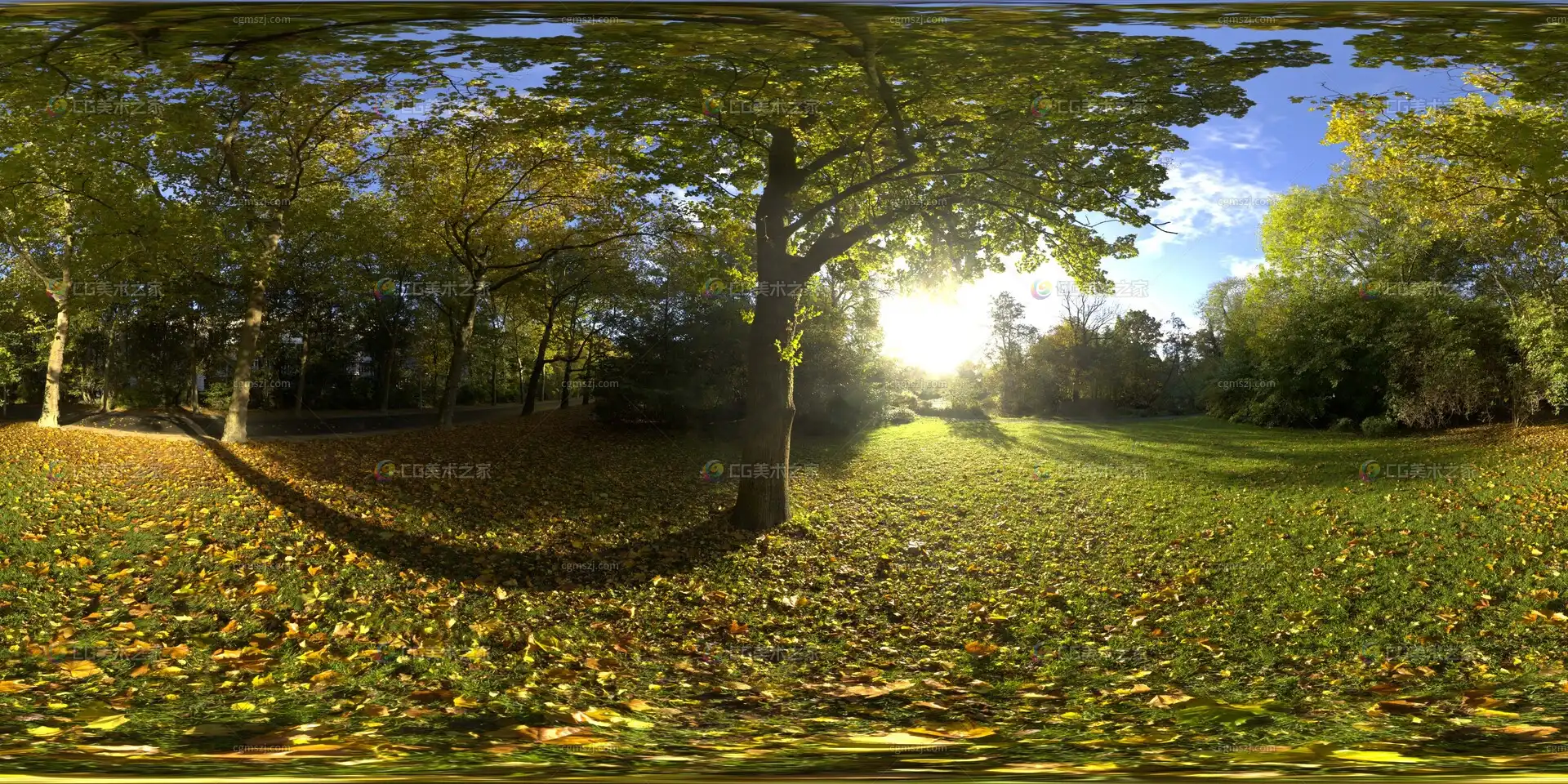 秋日公园草地树影贴图