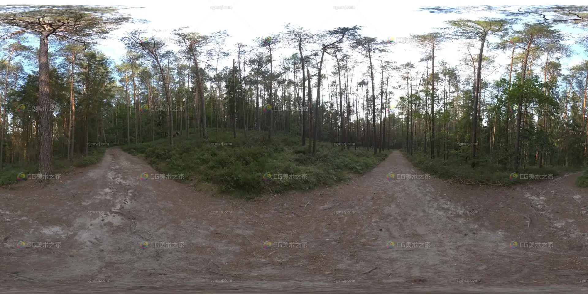 森林岔路景观贴图