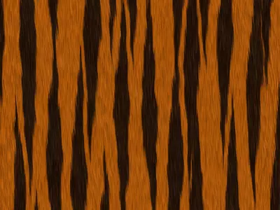 老虎皮毛纹理特写贴图