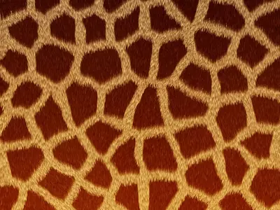 长颈鹿皮毛贴图