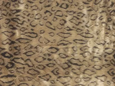 豹纹毛发纹理贴图