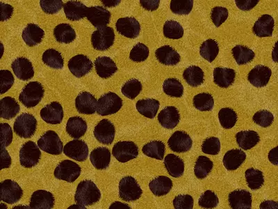 豹纹毛发纹理贴图