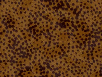 豹纹毛发纹理贴图