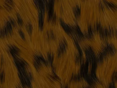 老虎皮毛纹理贴图