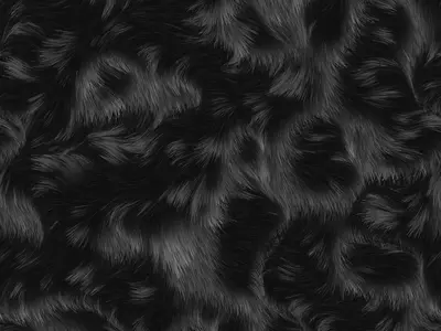 黑白色动物毛发纹理贴图