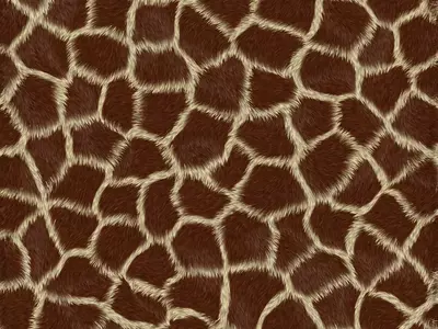 长颈鹿皮毛纹理贴图