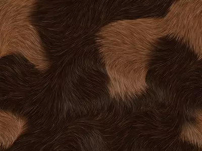 棕黑相间动物毛发纹理贴图